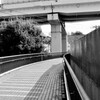 自動車道と歩道の交差
