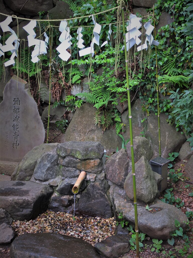 神水