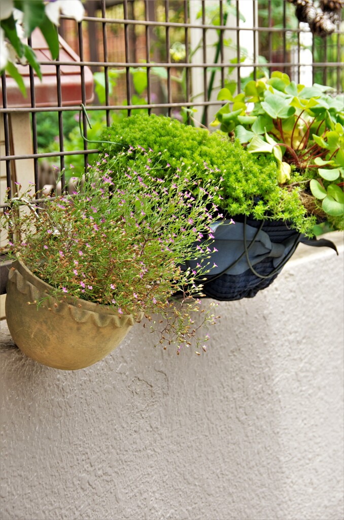 ななめの植木鉢