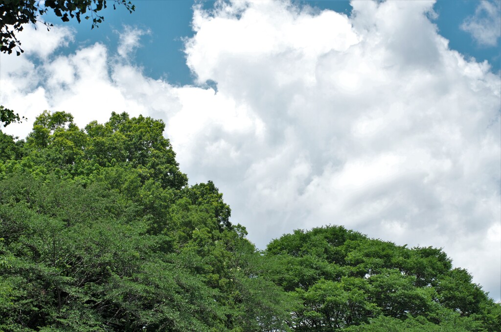広がるもくもく雲