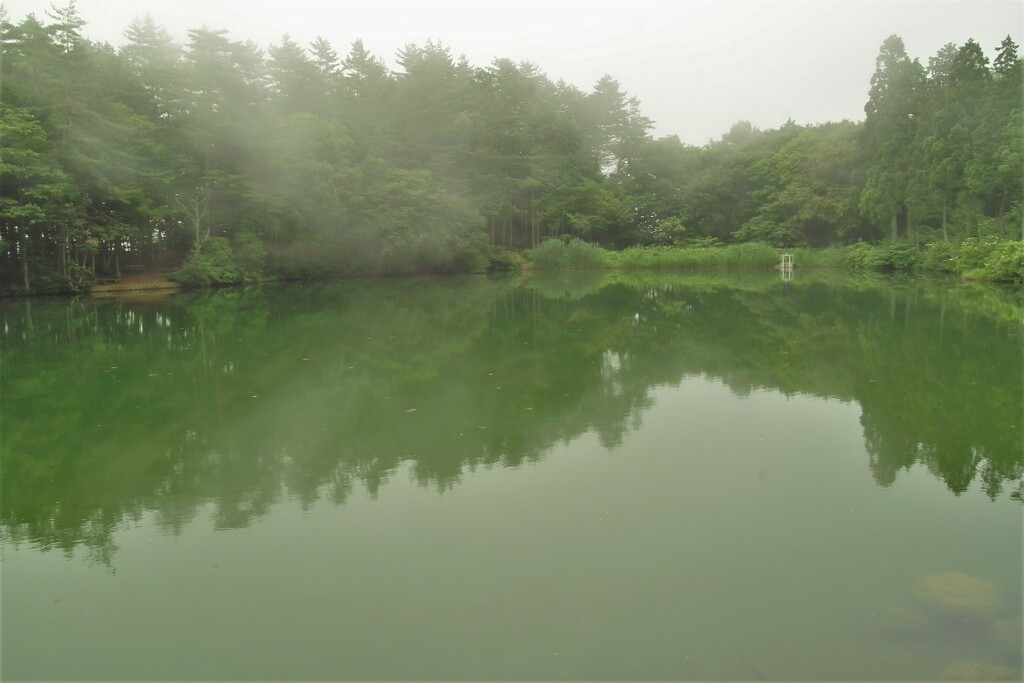 どこかの湖