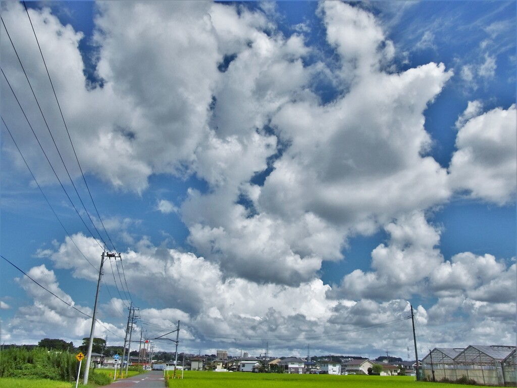 夏雲：撮り比べ　2