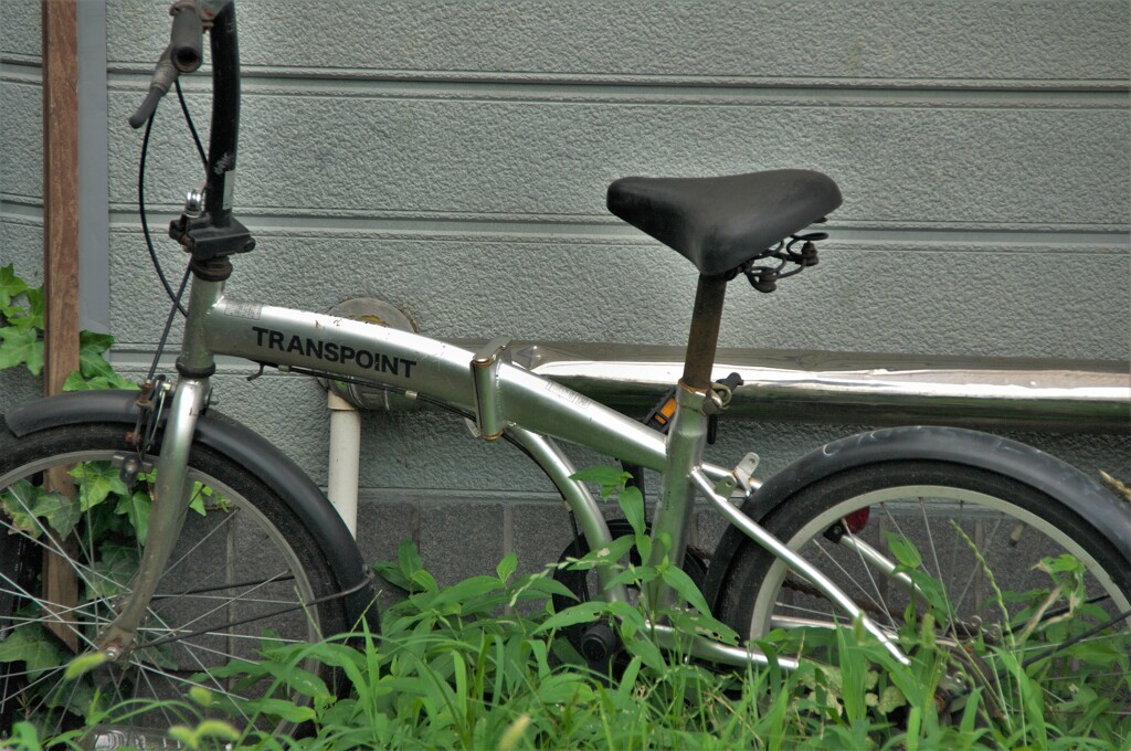 草むらの自転車