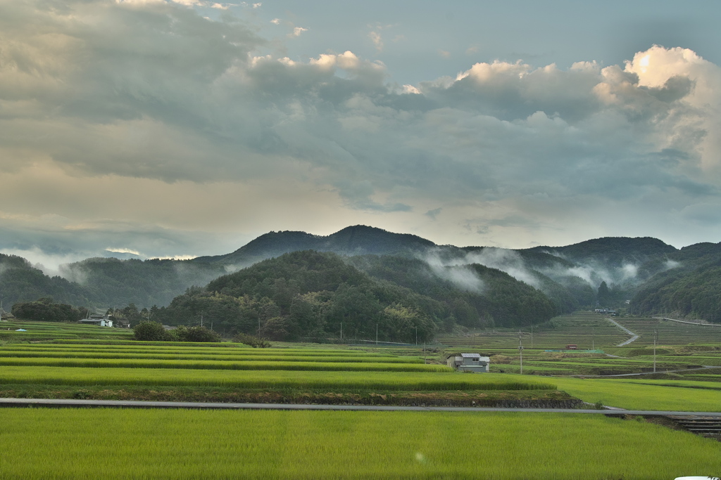 夏の夕暮れ