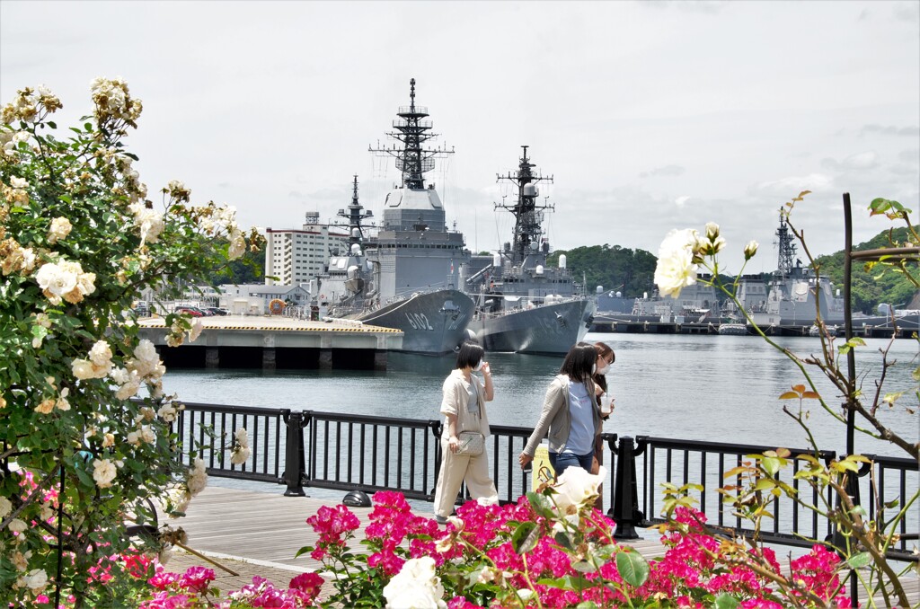 ヴェルニー公園より見る軍港