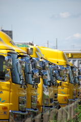 黄色いトラックたち
