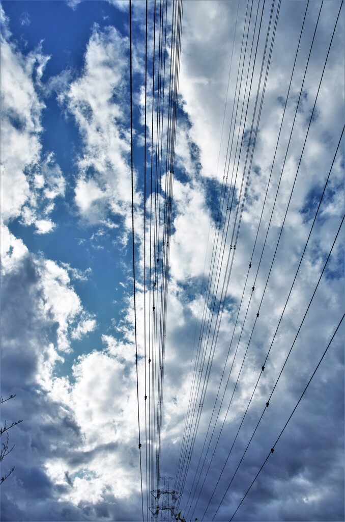 初冬の空。