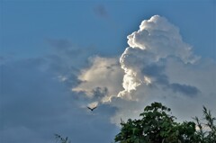 今日の夕方の雲