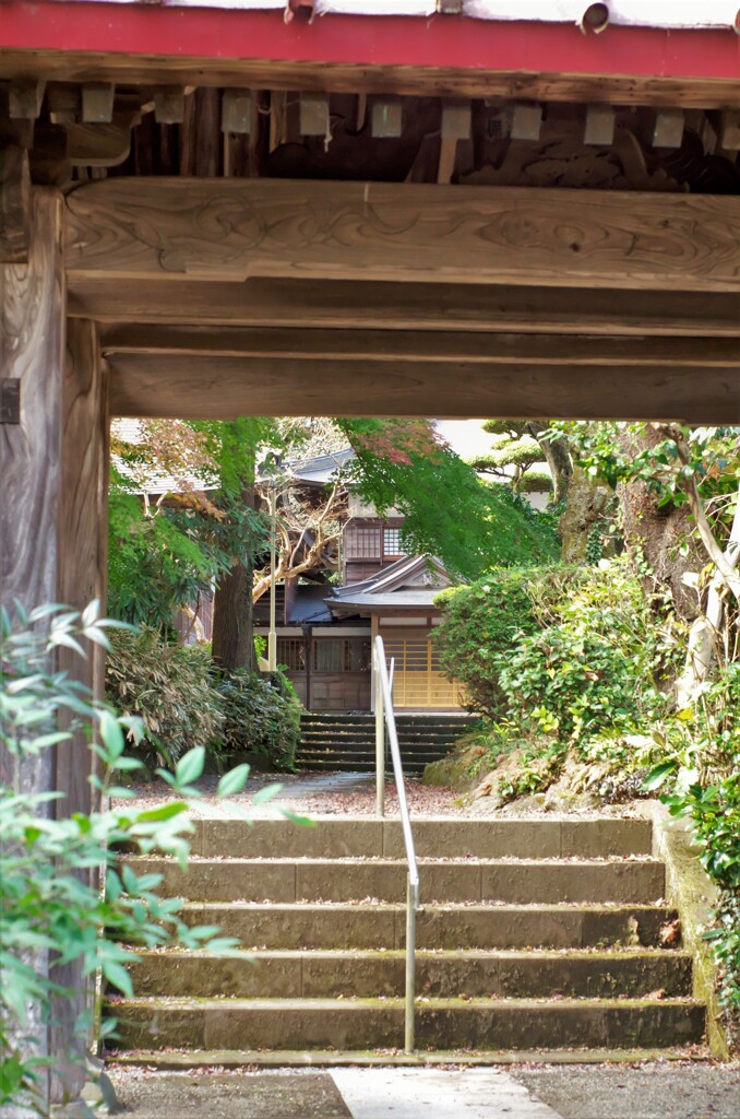 清雲寺：本堂を望む