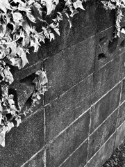昭和の産物：ブロック塀