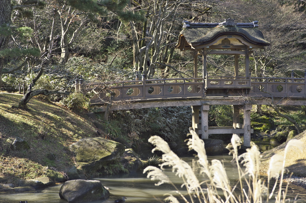 和風庭園：橋