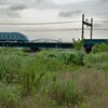 河原と高架を走る特急列車