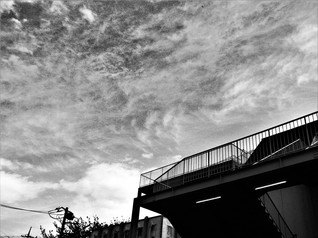 屋上と雲