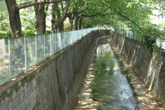 神田川の源流