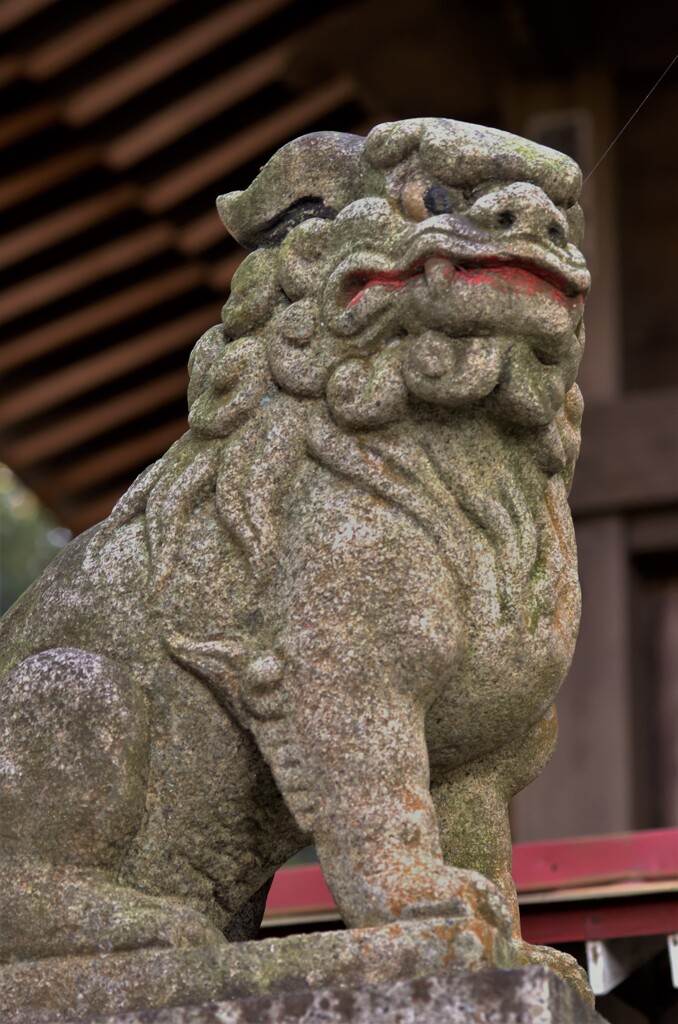 川尻八幡宮の狛犬。