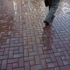 雨上がり