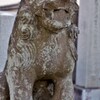 有鹿神社：破損してる狛犬さん