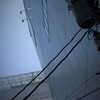 見上げてみた。