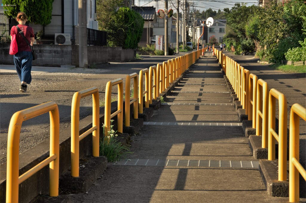 暗渠の上の道：カラー