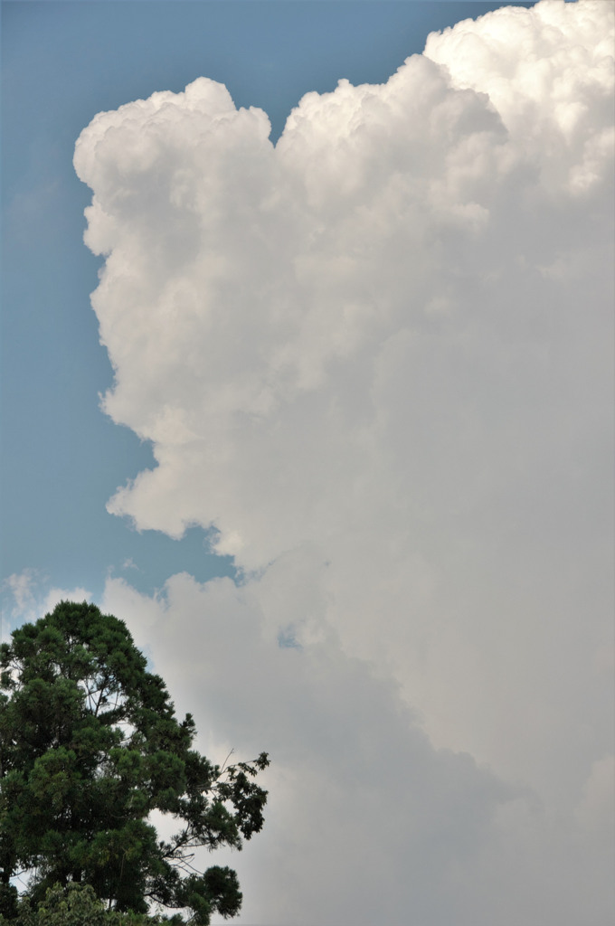 今日の雲