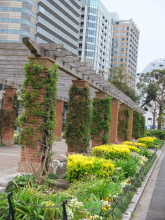 横浜：山下公園　ガーデニング