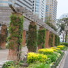 横浜：山下公園　ガーデニング
