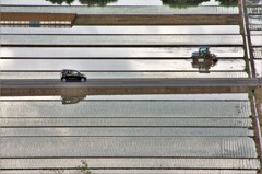 遠景：田植えと農道の自動車