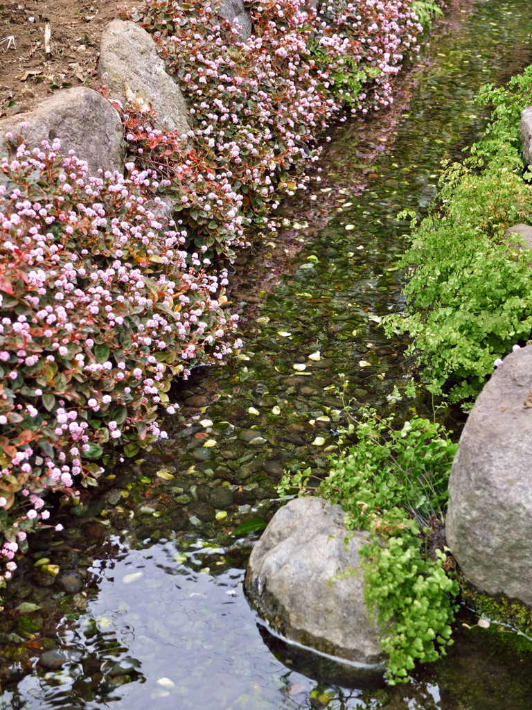 春の小川