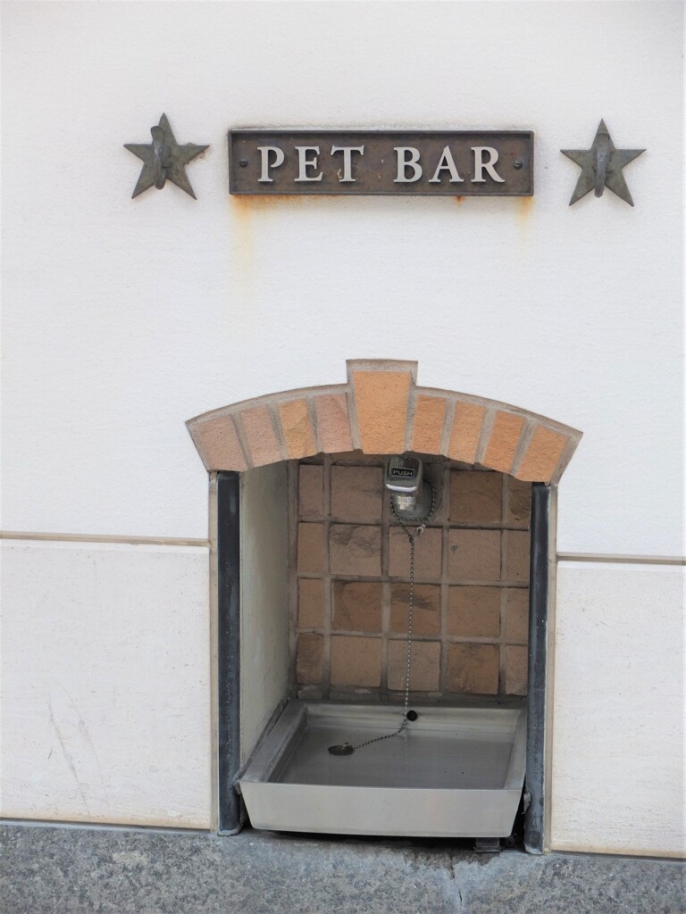 商店街にあったペットの水飲み場