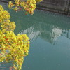 水面にうつる。