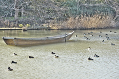 小舟と水鳥
