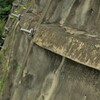 土砂崩れから守る。