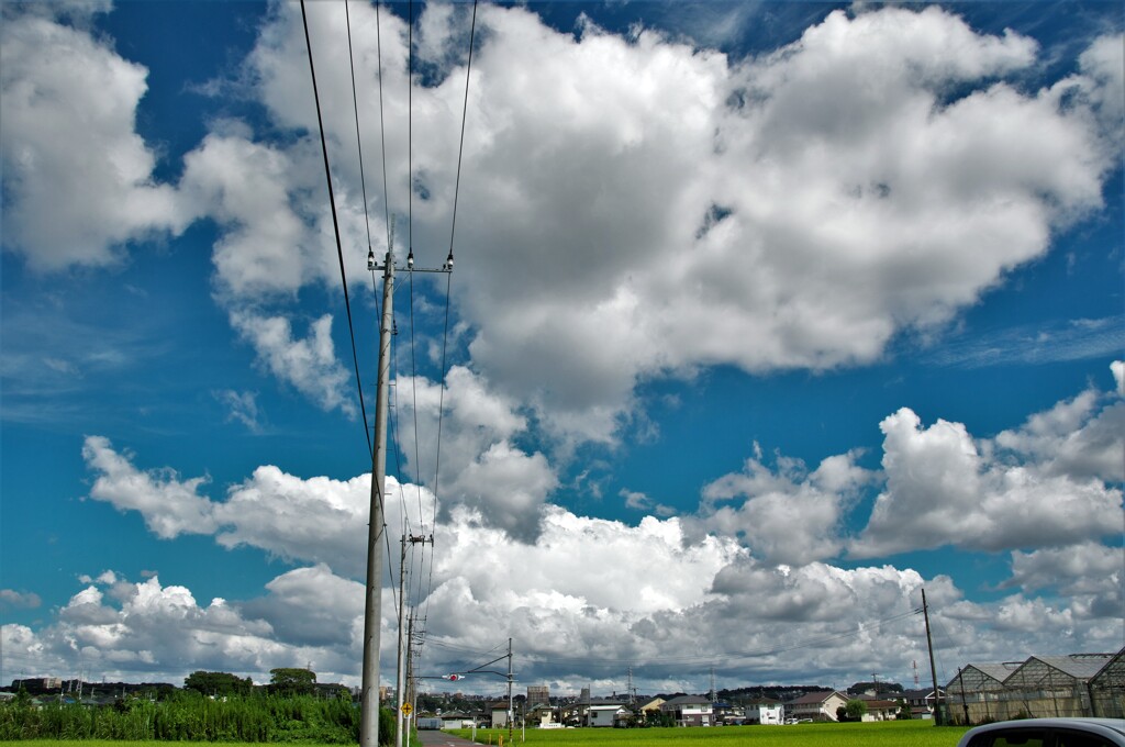 夏雲：撮り比べ　1