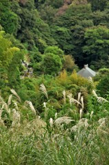 山寺の秋。