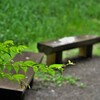 雨のベンチ：ひとのいない公園