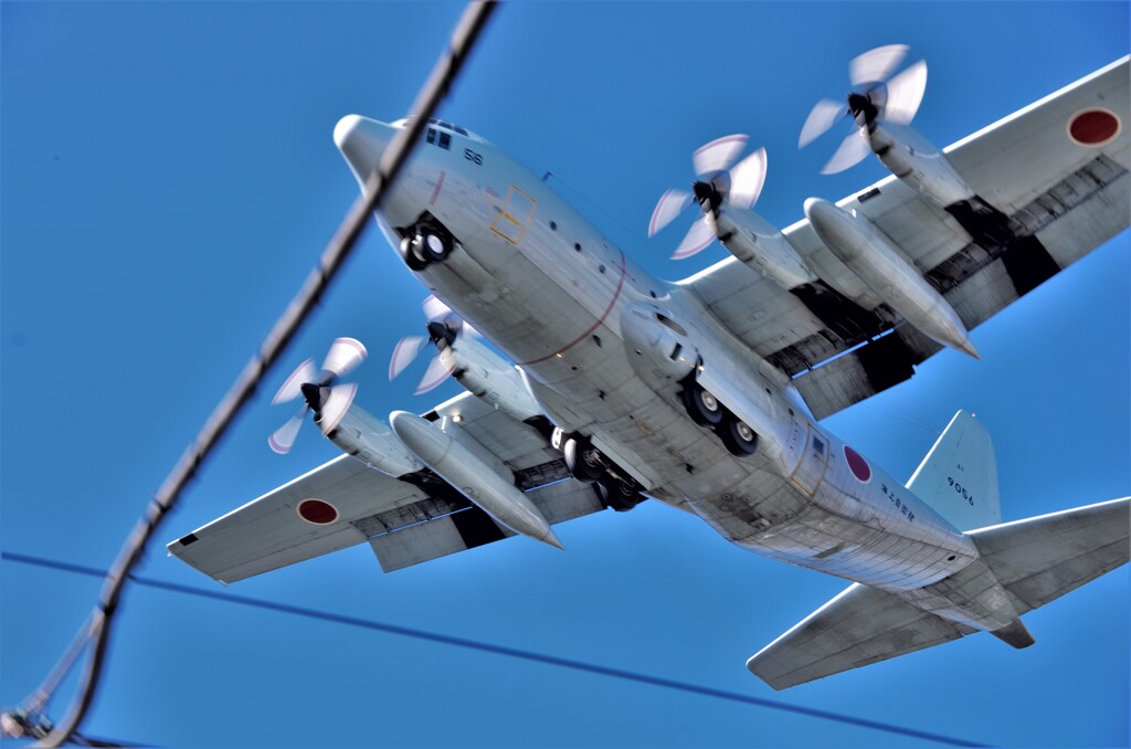 海上自衛隊 輸送機：C-130R