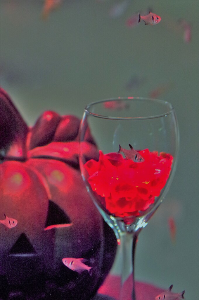 ハロウィーンのワイングラス。
