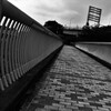 空中遊歩道