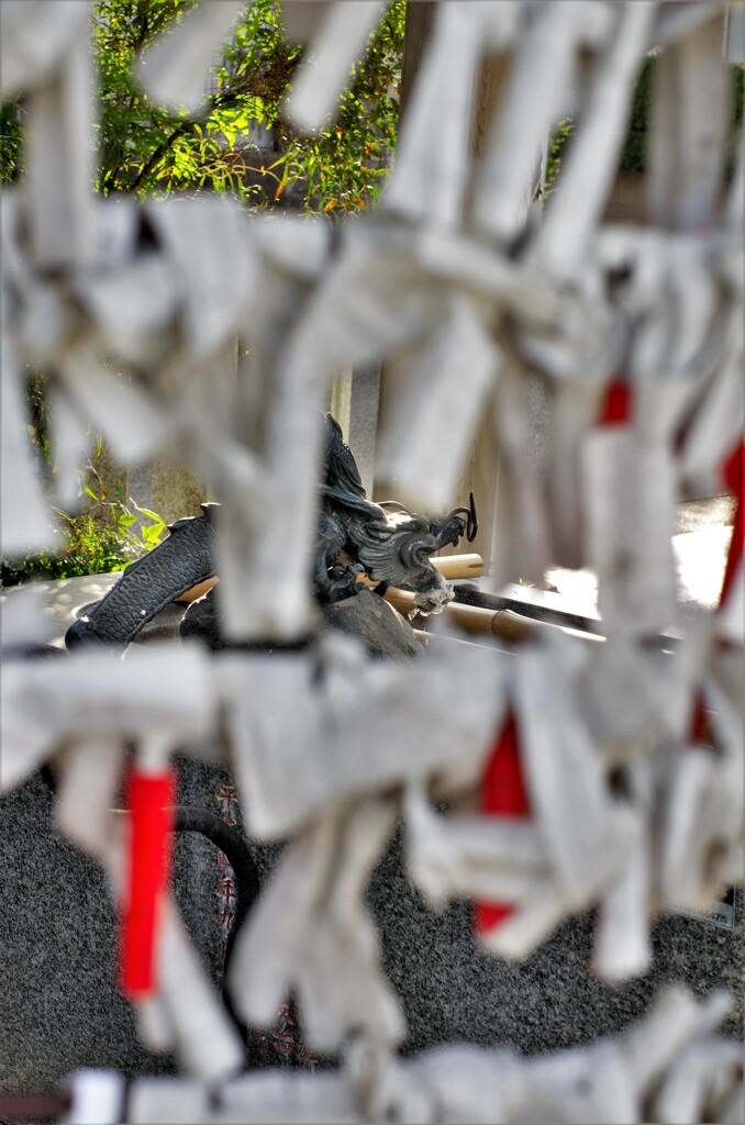 田名八幡宮：おみくじの向こうに龍