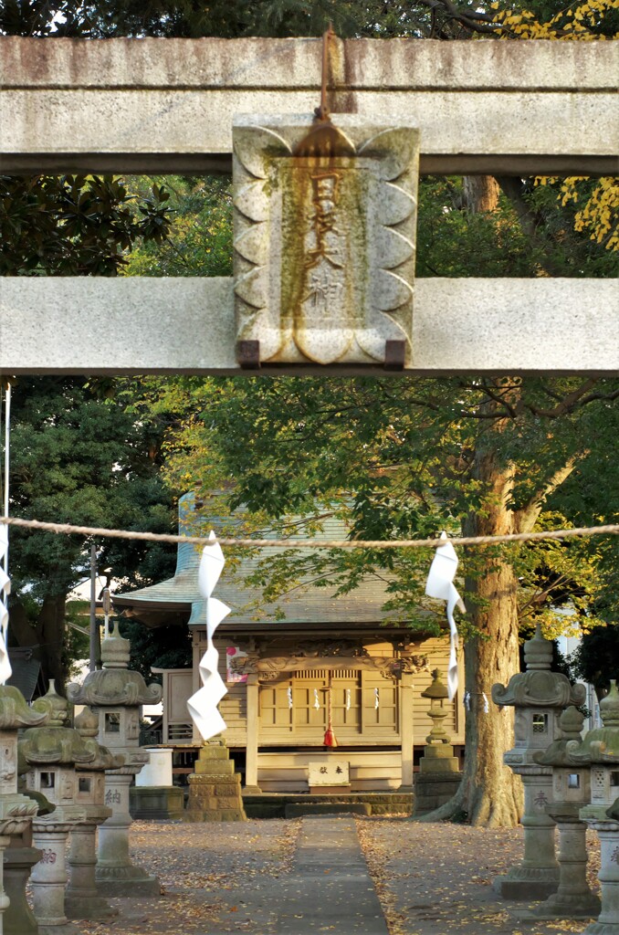 日枝大神：鳥居から