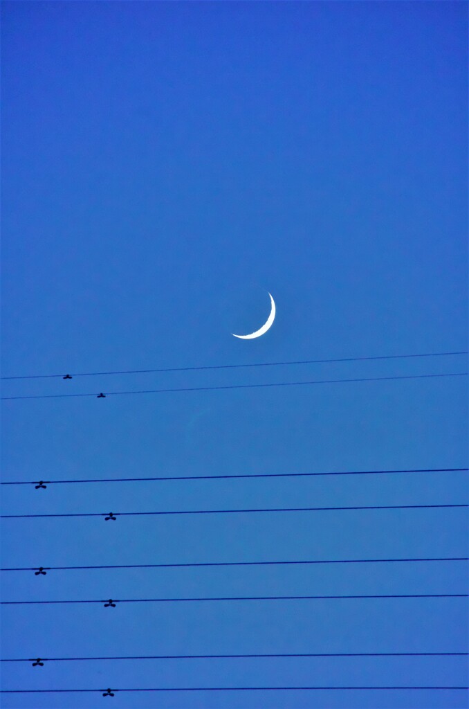 五線紙と三日月