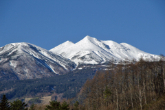 雪山：乗鞍から見える山