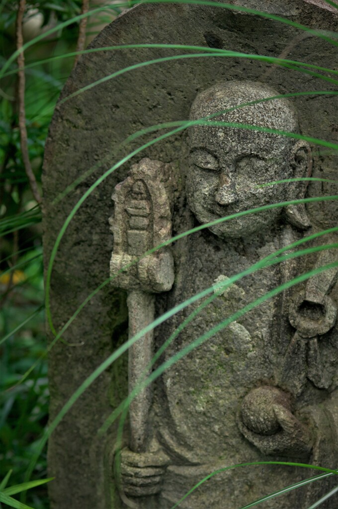 草の影で