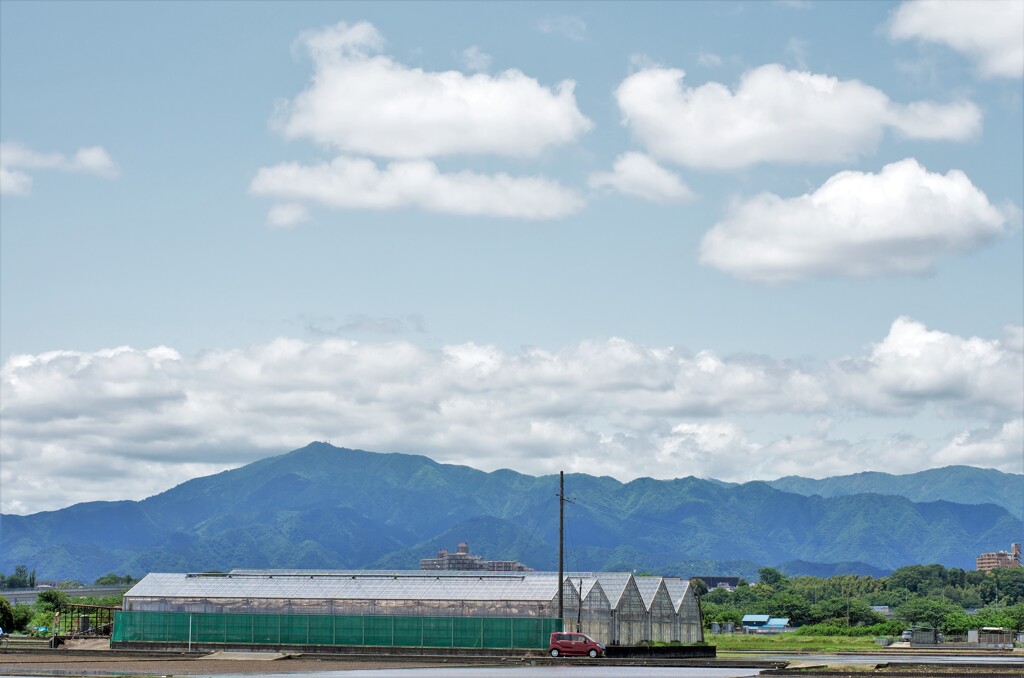 初夏の阿夫利山