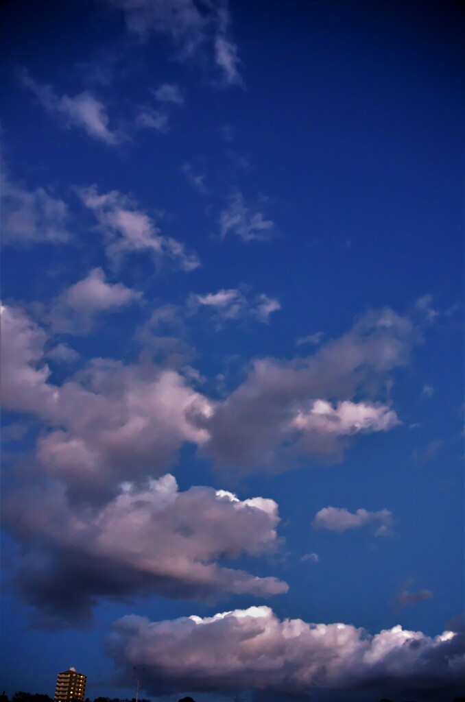 夕焼け頃でも東の空はまだ明るい。