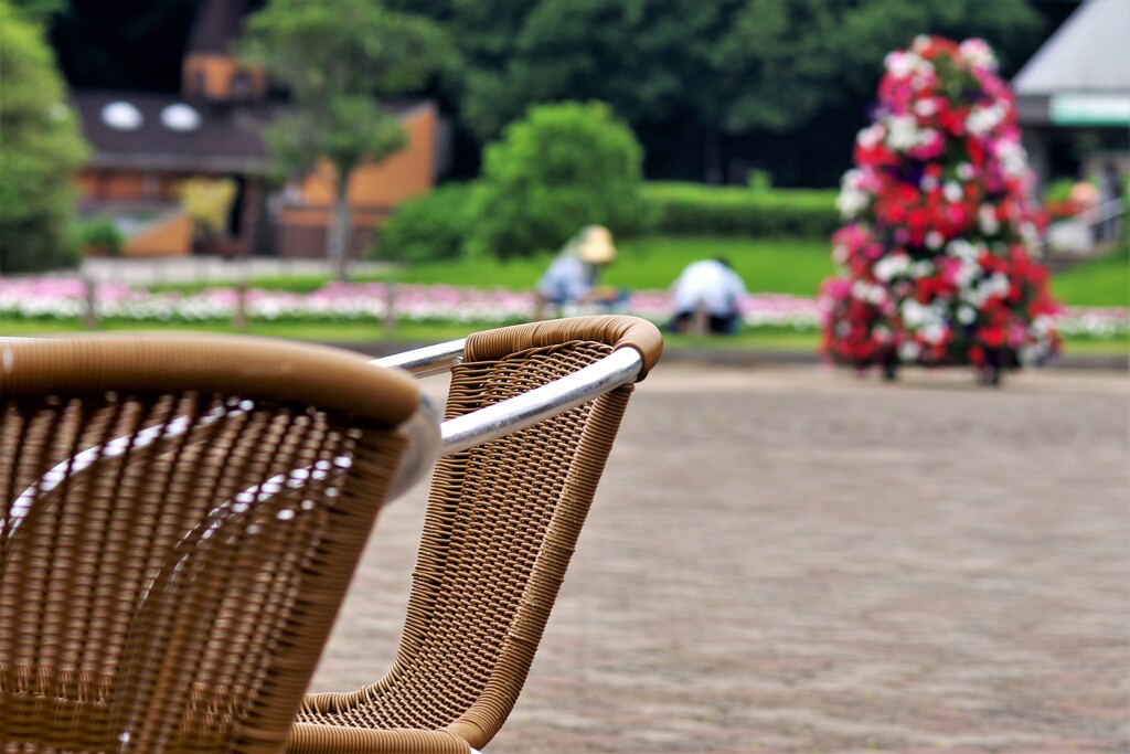 すこしずつ人が戻り始めた公園