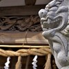 田名八幡宮：吠える