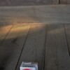 お供え……？ わすれもの……？