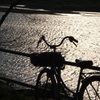 河原：自転車のシルエット