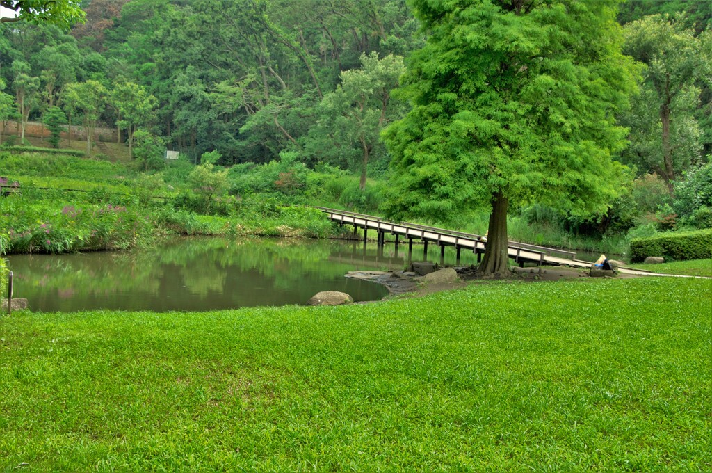公園風景